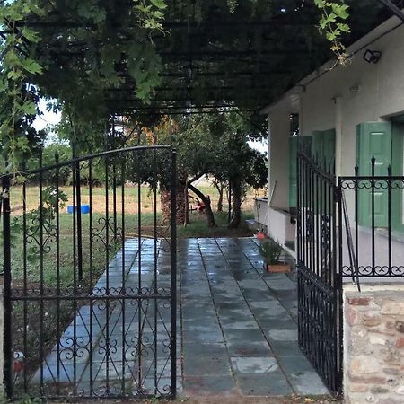 Country Village House Skala Mistegnon Esterno foto